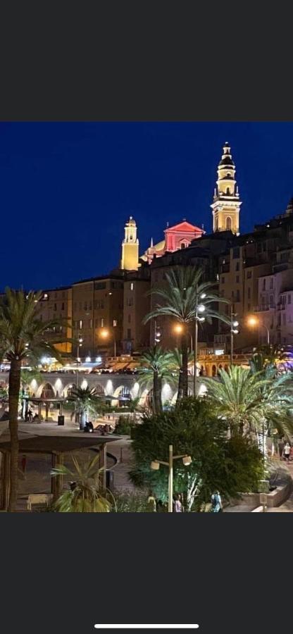 Menton Centre Vue Imprenable Sur Mer Et Jardin Bioves Esterno foto