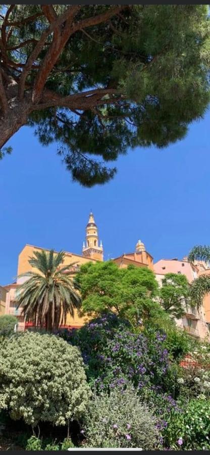 Menton Centre Vue Imprenable Sur Mer Et Jardin Bioves Esterno foto
